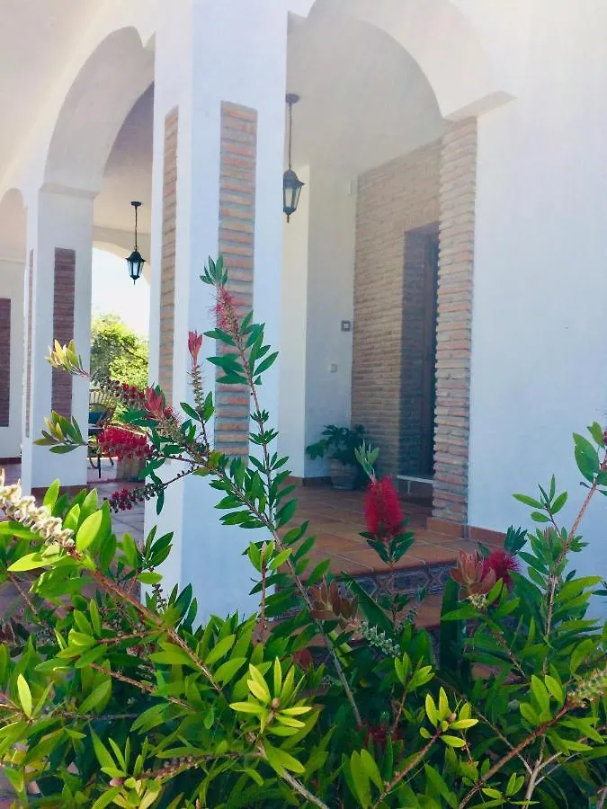 Bed & Breakfast B&B Villa Pinos Malaga Alhaurin de la Torre